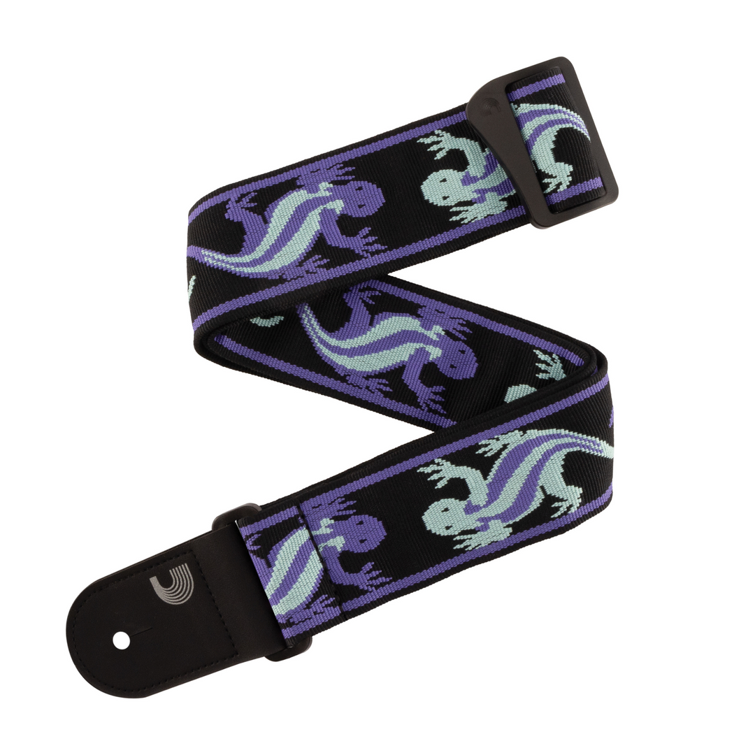 D'Addario 50PW02 Vintage D'Addario Lizards - Teal