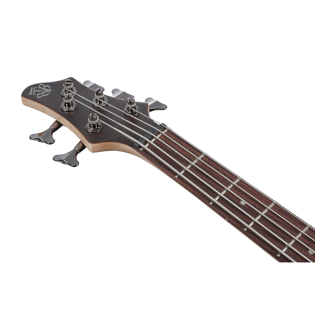 Ibanez BTB Standard 5-String Bass (Transparent Gray Flat) BTB605TGF
