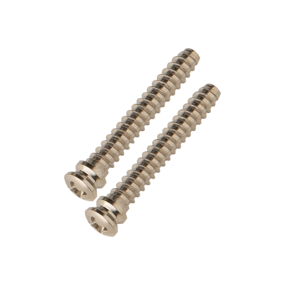 PRS Fiore Fulcrum Screws