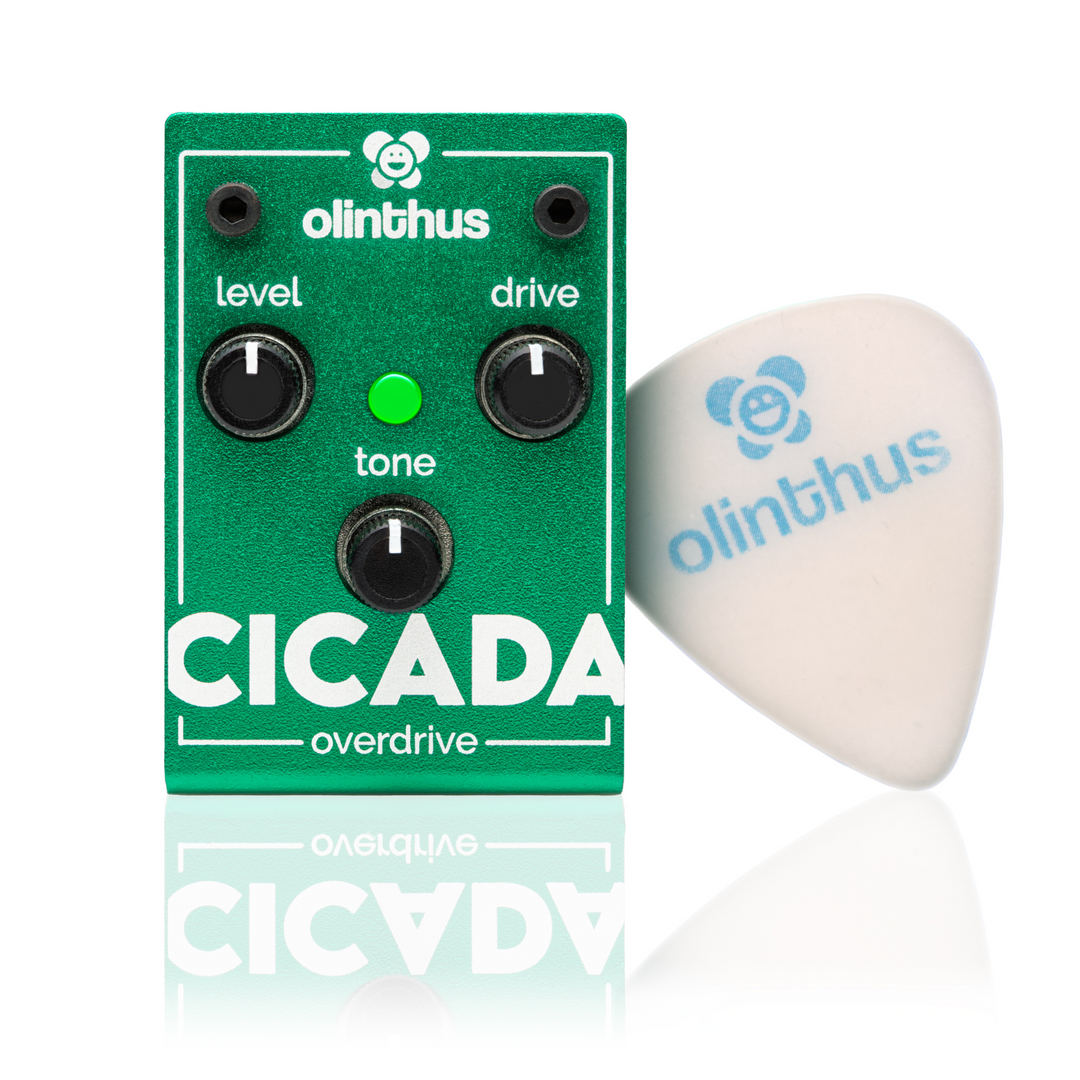 Olinthus CICADA Overdrive Pedal