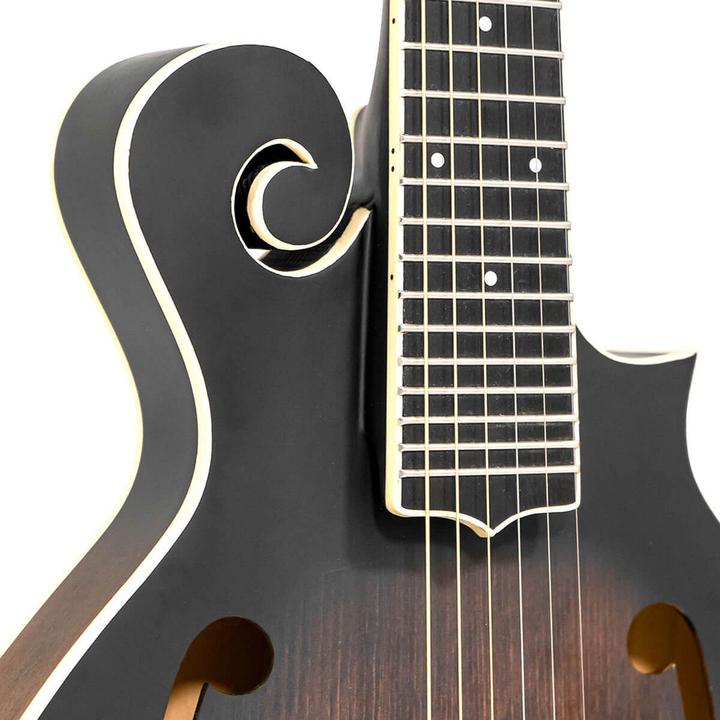 Gold Tone F-6 6-String F-style Mando-Guitar with Pickup and Case