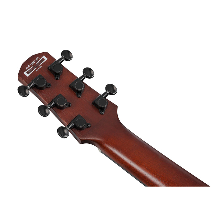 Ibanez AUP10NOLB Acoustic Guitar w/bag - Open Pore Light Brown Sunburst