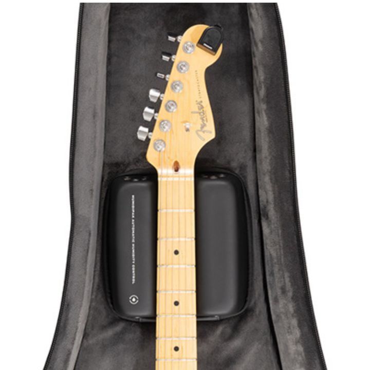 D'Addario PW-BLEGC-01 Backline Electric Guitar Case