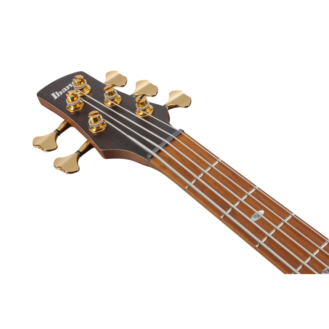 Ibanez SR Prestige 5-String Bass (Desert Sunset Burst) SR4505DST