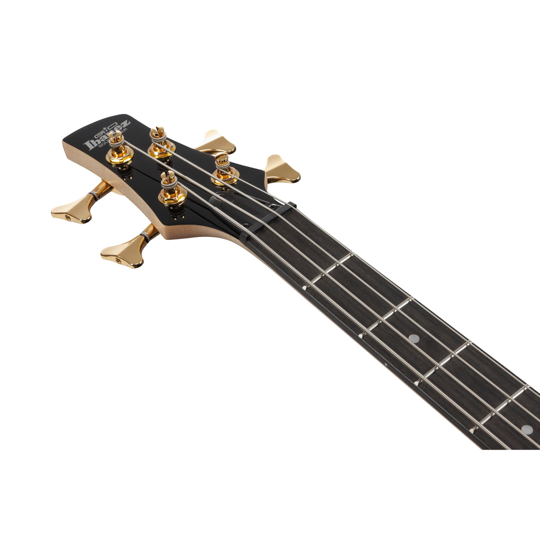 Ibanez Gio SR Electric Bass (Transparent Pale Black Burst) GSR200PCTPB