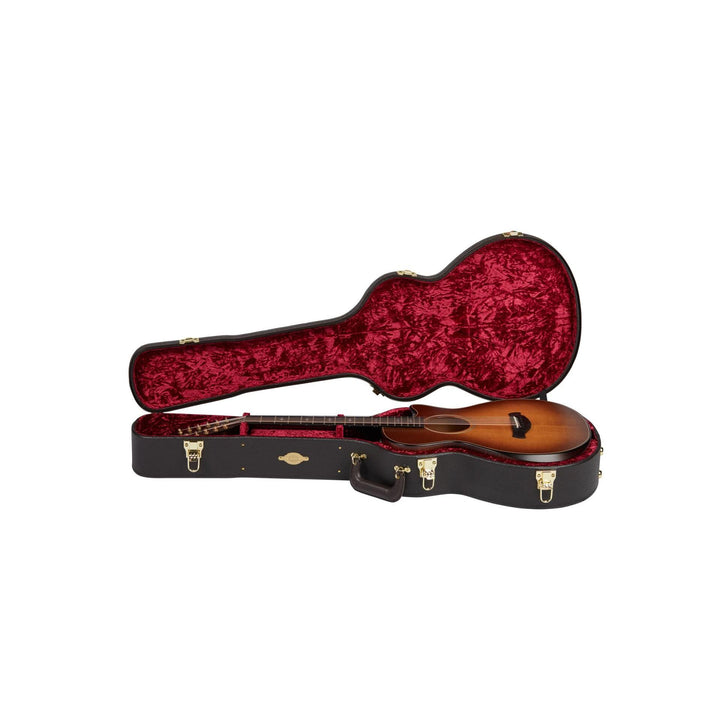 Taylor Case,GC,GC-12 Fret,Brown