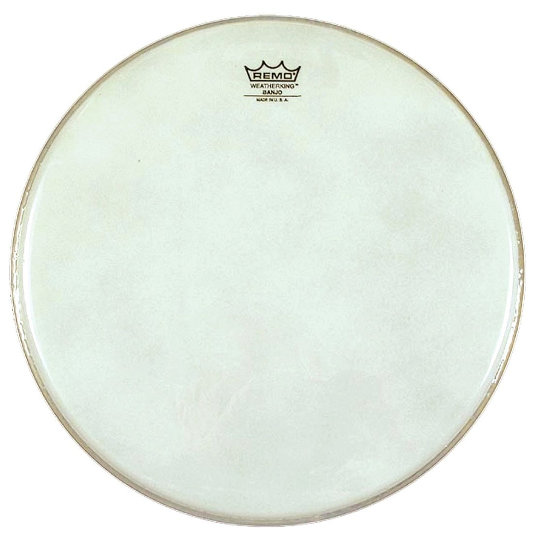 Gold Tone Gt Remo Low Collar 11" Smooth Head