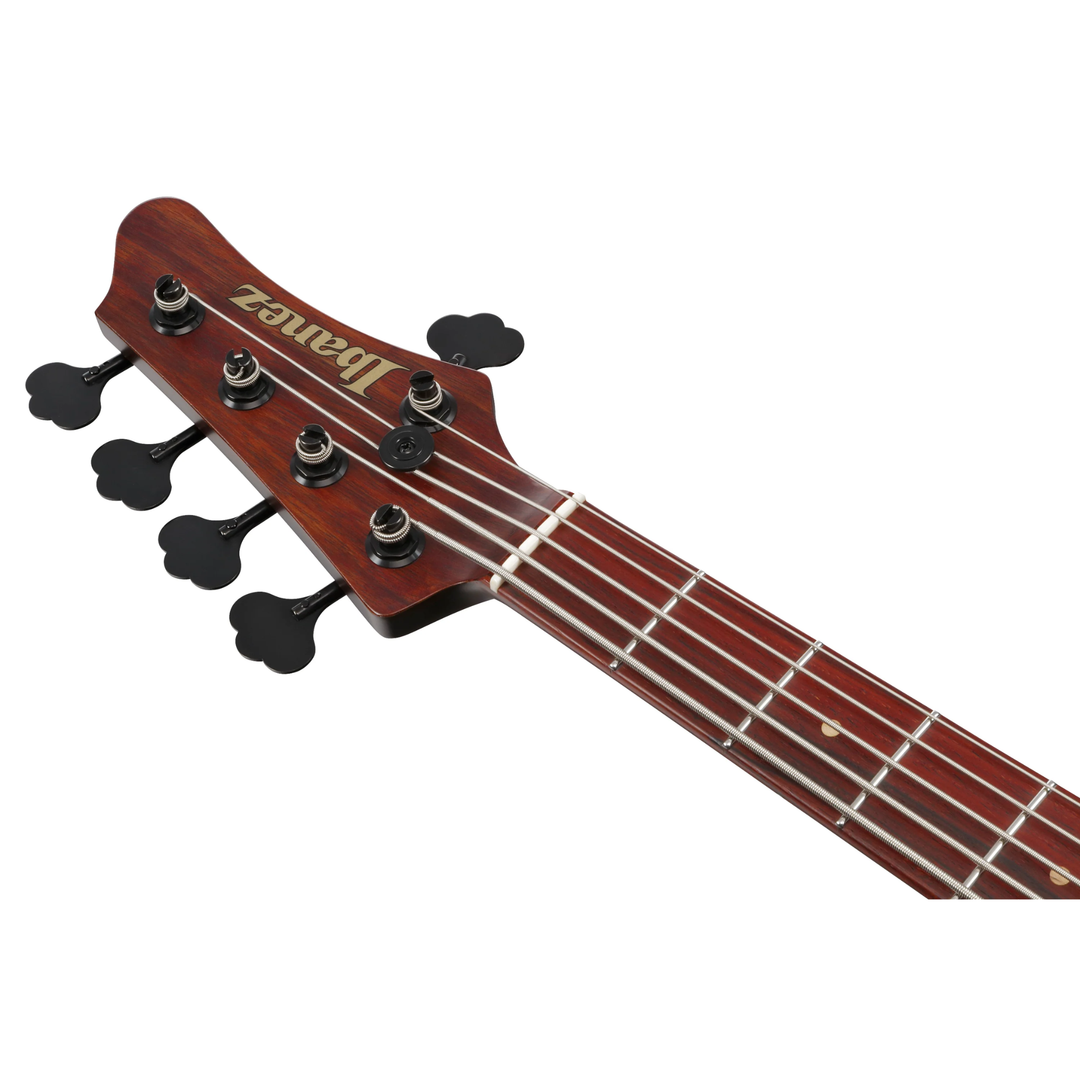 Ibanez IV2MDM MDM Visions Japan Custom Shop 5 Strings Electric Bass (Natural)