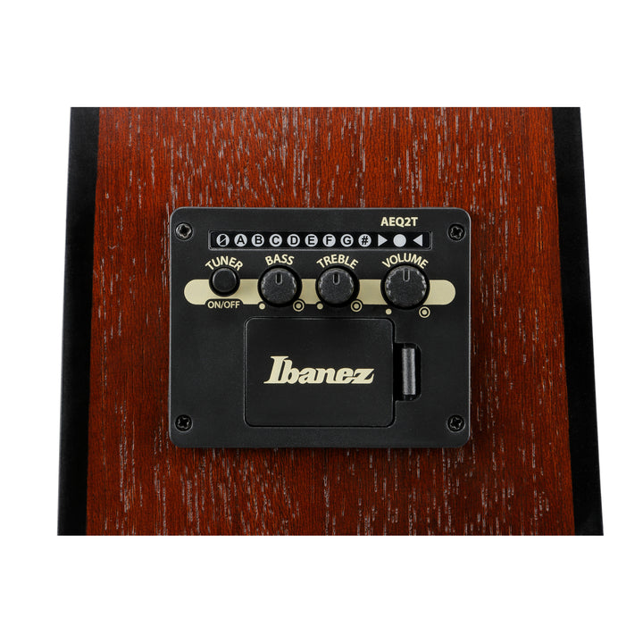 Ibanez Acoustic-Electric (Weathered Black) PF54CEWKH