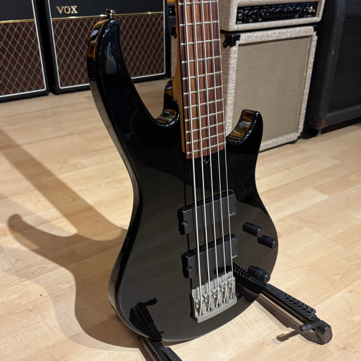 Godin - BG5  EMG Active Loaded 5 String Bass w/ Godin Hard Shell Case ( Black-1999) - USED