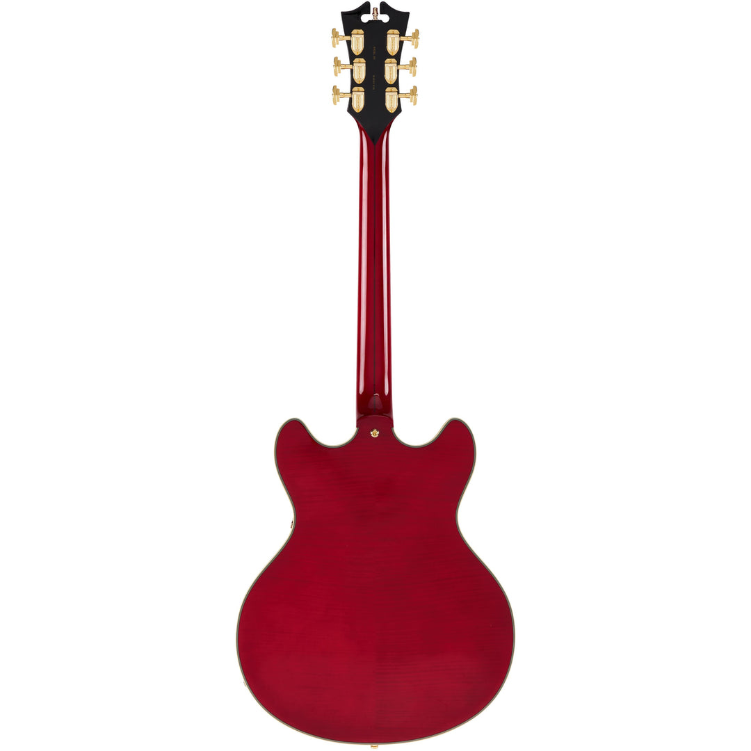 D'Angelico  Double Cut Semi-Hollow