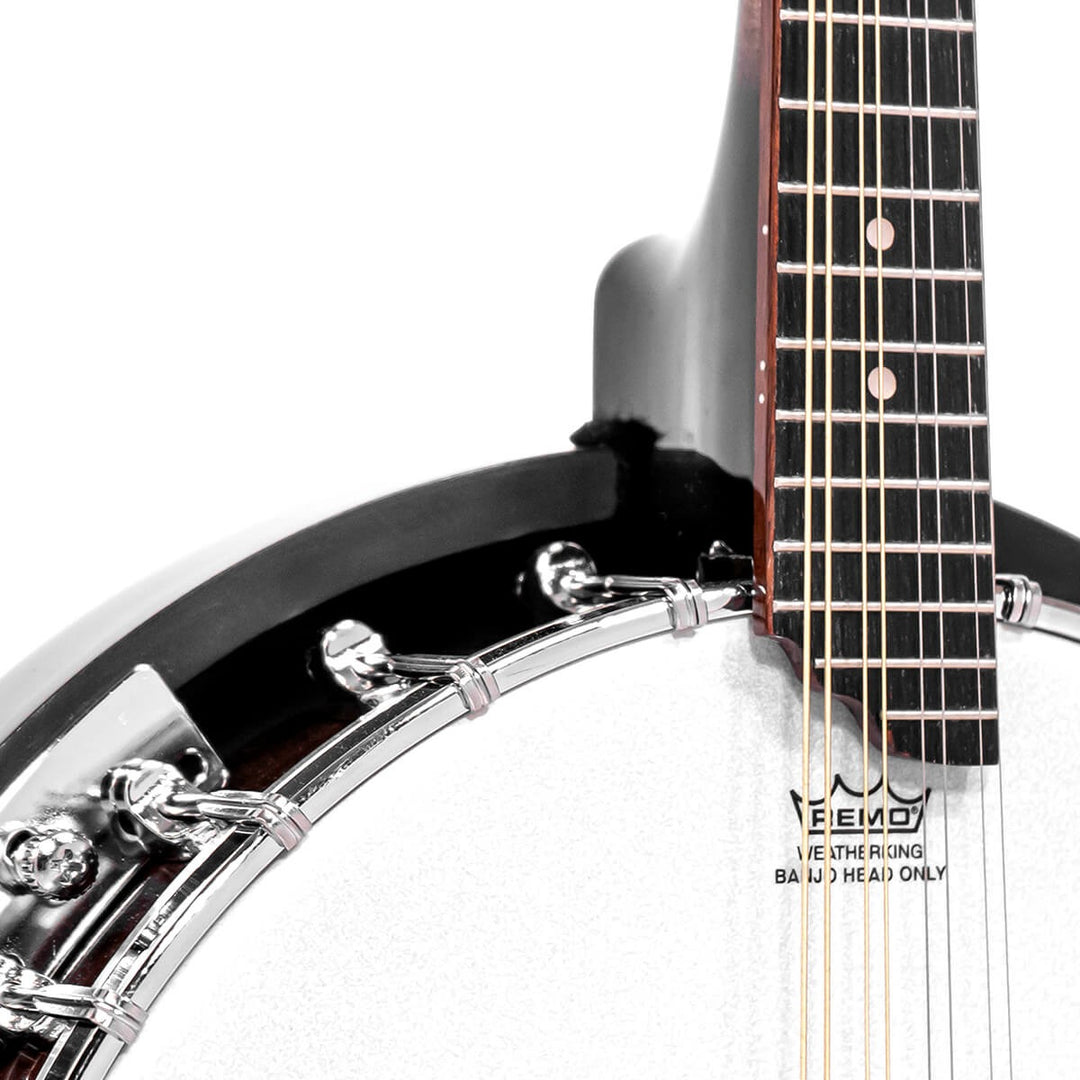 Gold Tone Mandolin-Banjo with Bag