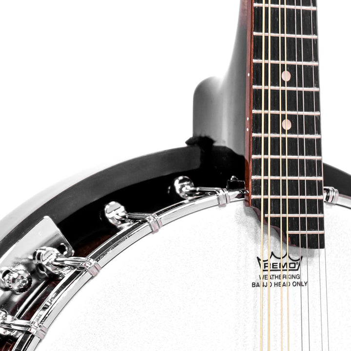 Gold Tone Mandolin-Banjo with Bag