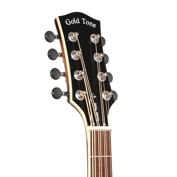 Gold Tone Lefty Mandocello with Pickup and Case