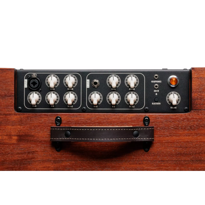 Taylor Circa 74 AV150-10 Acoustic Amplifier and Vocal System, Mahogany with stand Acoustic Guitar