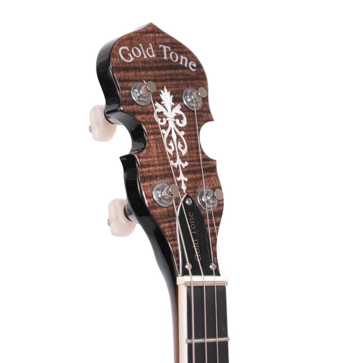 Gold Tone Irish Tenor Banjo with Case