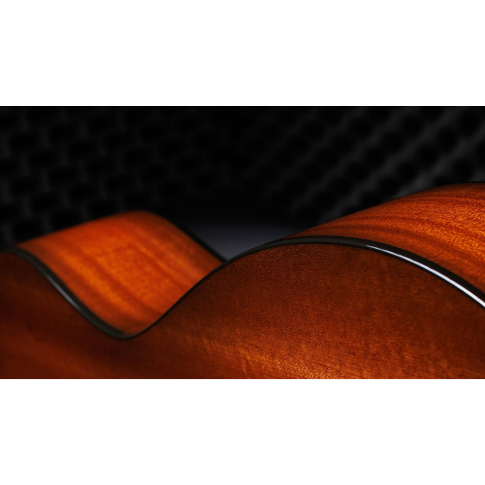 Taylor 50th Anniv. 314ce LTD Grand Auditorium Sapele/Torrefied Spruce Acoustic Electric Guitar