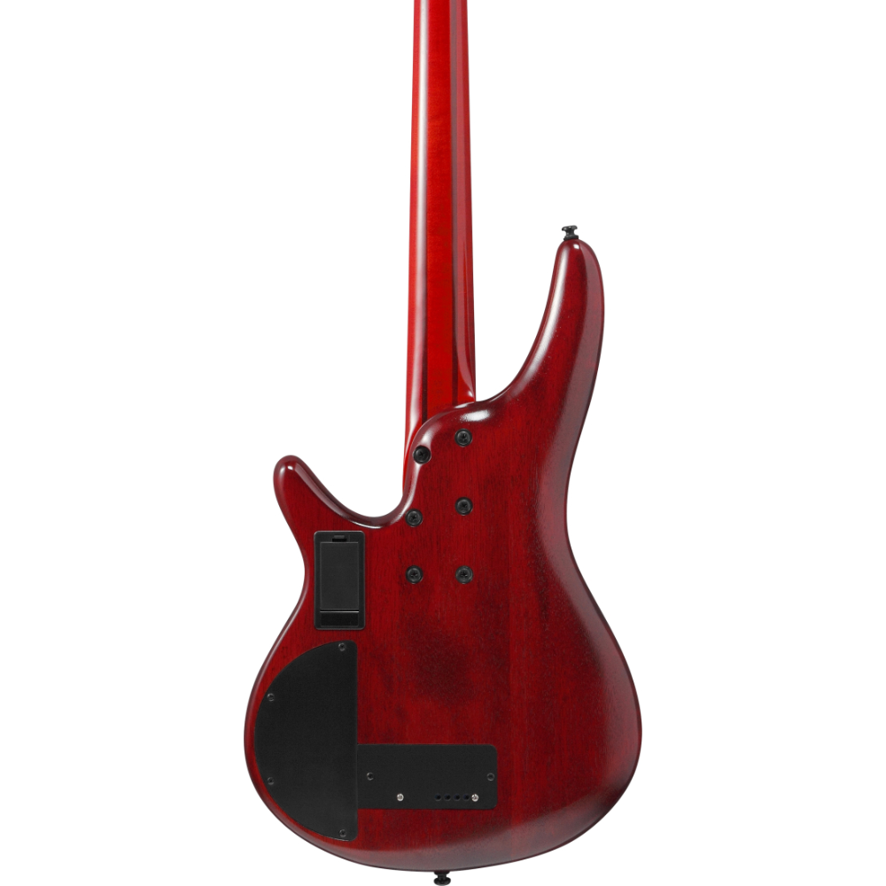 Ibanez SR Bass Workshop Fretless Bass (Brown Topaz Burst Low Gloss) SRD900FBTL
