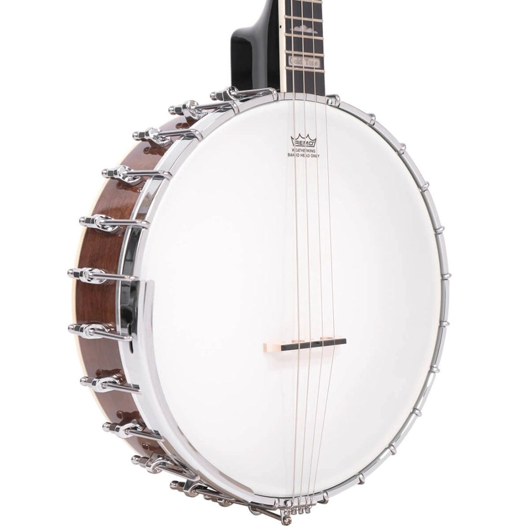 Gold Tone Irish Tenor Banjo with Case
