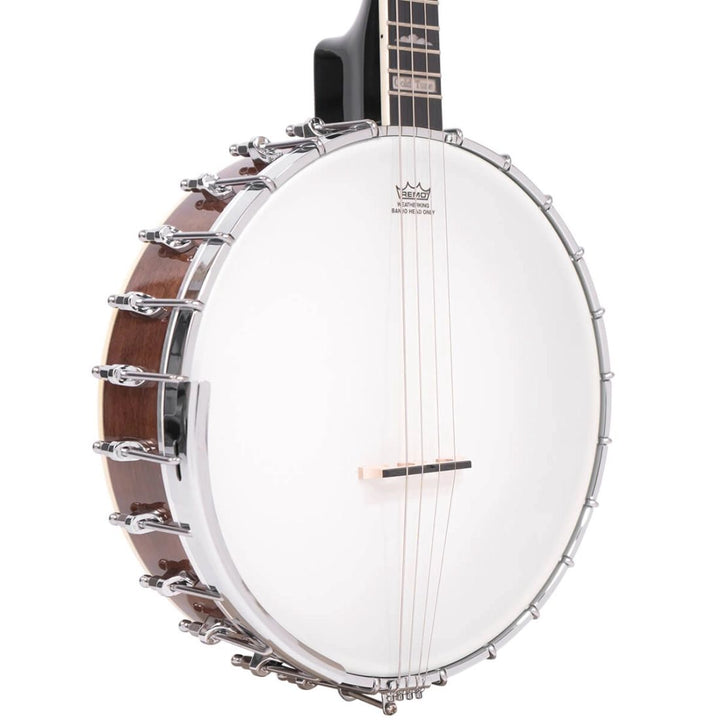 Gold Tone Irish Tenor Banjo with Case