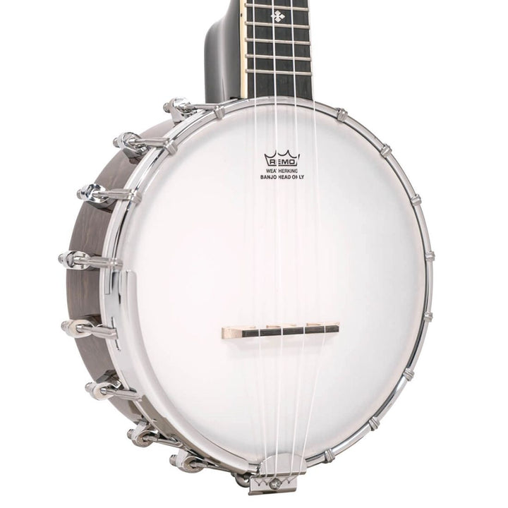 Gold Tone Gt Banjolele with Gig Bag