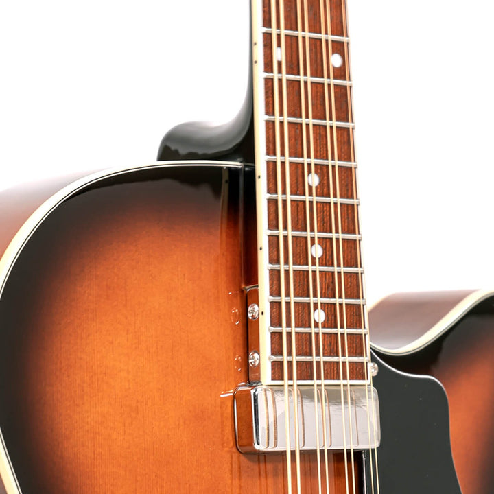 Gold Tone Lefty Mandocello with Pickup and Case