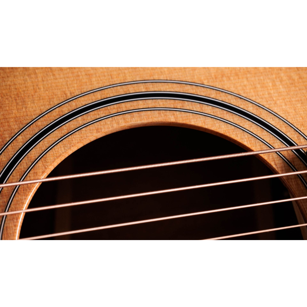 Taylor 314ce Studio Special Edition - Natural