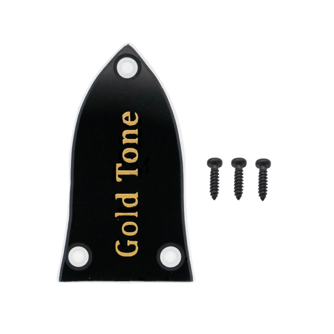 Triangle truss rod cover with black screws.