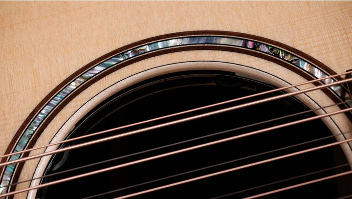 Overview

Indian rosewood body produces rich overtone character
Sitka spruce top for clarity and power
Versatile, all-purpose Grand Auditorium body shape
V-Class bracing adds more volume and sustain
Includes Claria electronics and hardshell case