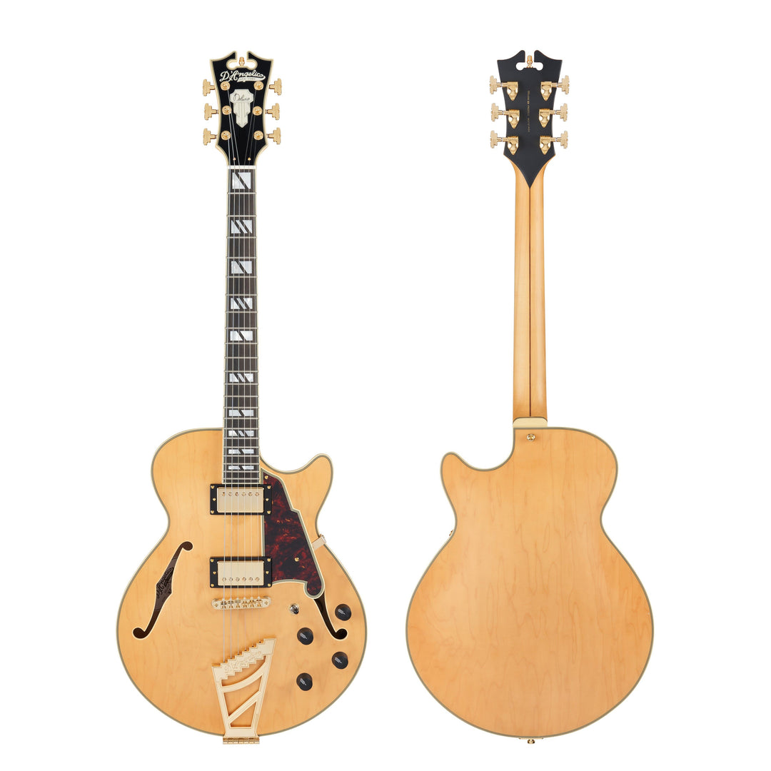 D'Angelico Single Cutaway