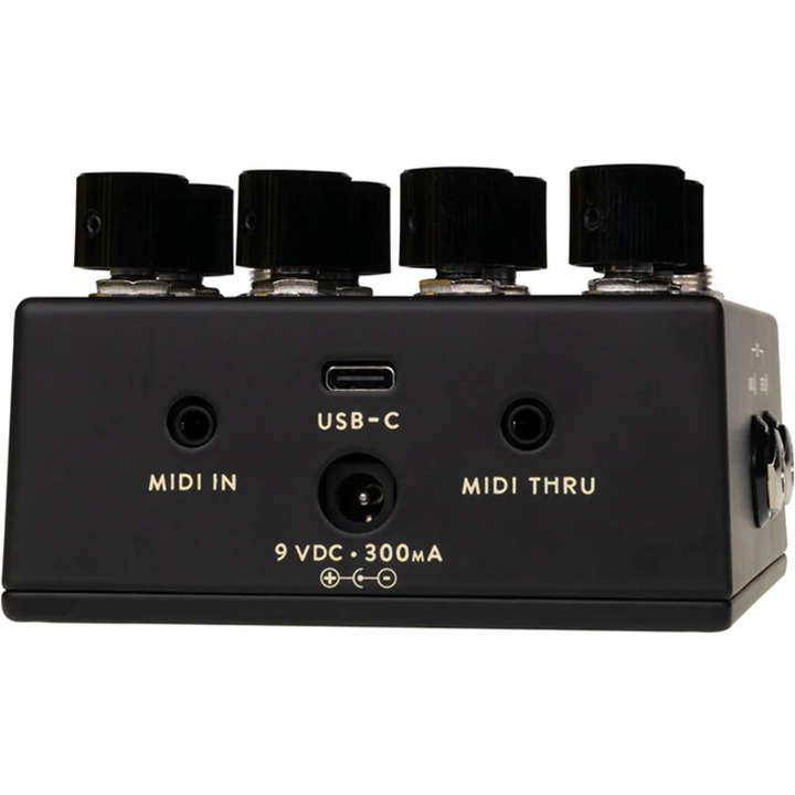 Walrus Audio Lore Reverse Soundscape Generator MKII (Black)