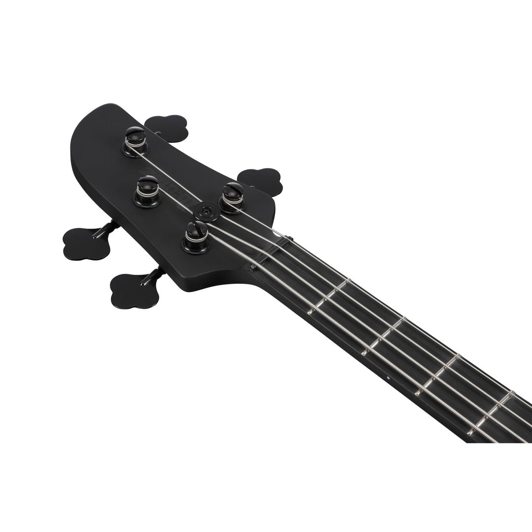 Ibanez Talman Bass Standard (Black Flat) TMB420BBKF