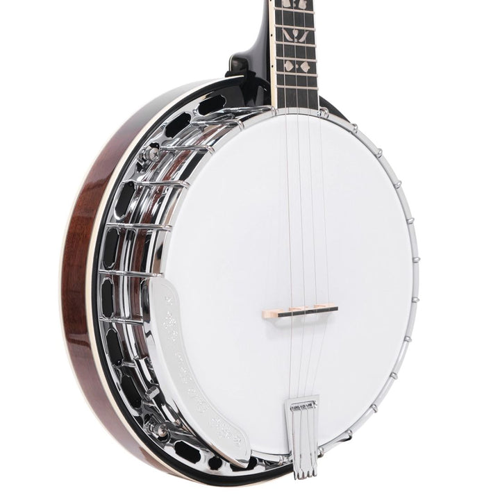 Gold Tone Plectrum Special Banjo with Case
