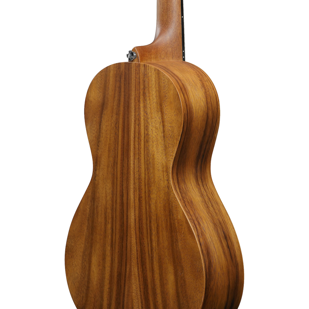 Ibanez PN2WSOPB Parlor 2 Acoustic Guitar Open Pore Brown