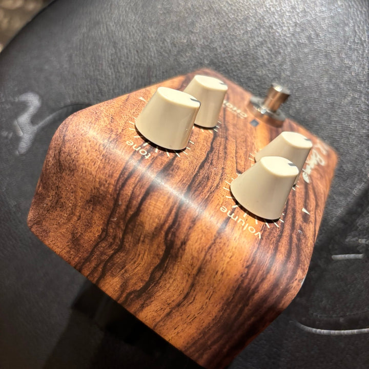 LR Baggs - Align Series Chorus Pedal ( No Box) - USED