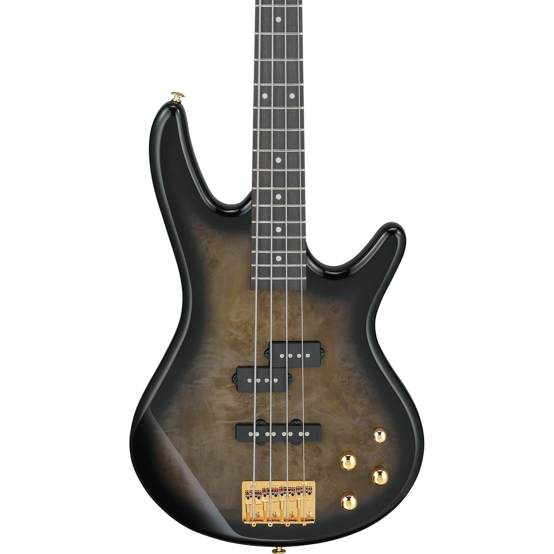 Ibanez Gio SR Electric Bass (Transparent Pale Black Burst) GSR200PCTPB