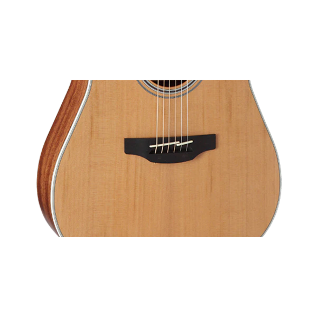 Takamine GD20CE-NS Dreadnought Cutaway Acoustic Electric Guitar (Natural Satin)