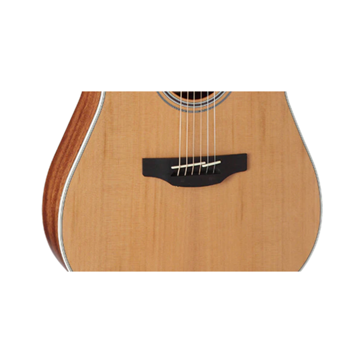 Takamine GD20CE-NS Dreadnought Cutaway Acoustic Electric Guitar (Natural Satin)