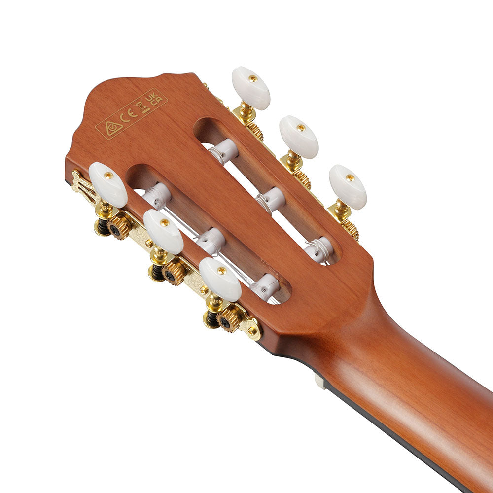 Ibanez Acoustic-Electric (Brown Sunburst Flat) FRH10N