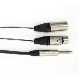Digiflex CINS-4S-4FX4MX-15 - 15 Foot 4 Channel Insert Cable -4 TRS to 8 XLR