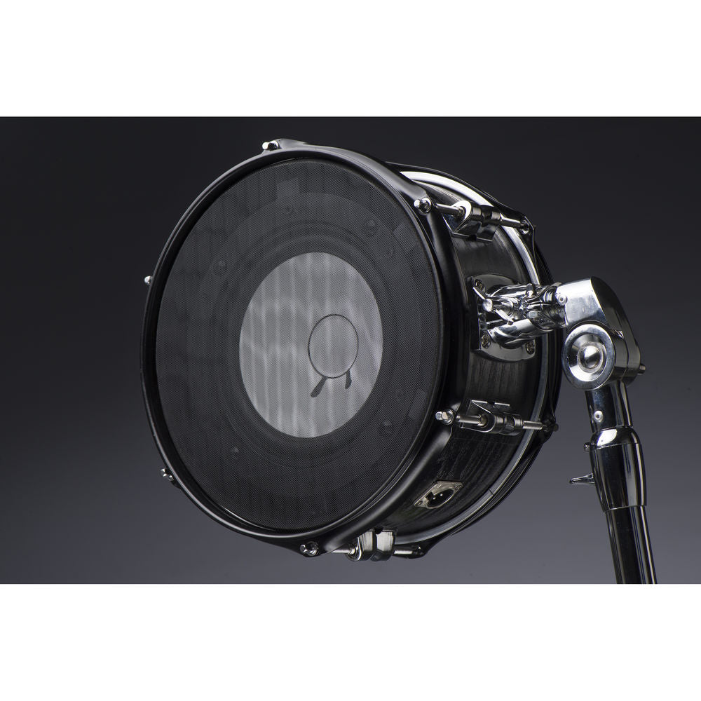 Avantone Pro Kick Sub-Kick Drum Microphone for Kick Drums w/ Stand