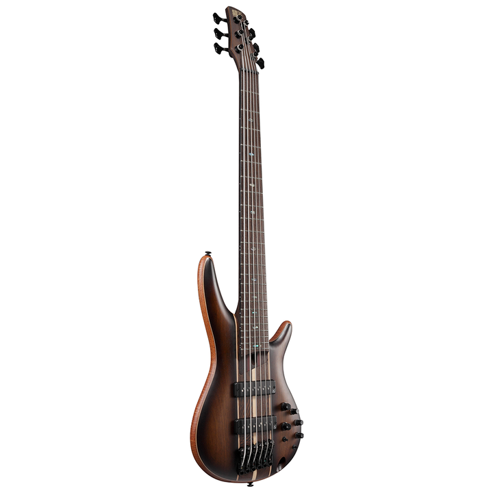 Ibanez SR Premium 6-String Electric Bass (Dual Mocha Burst Flat) SR1356BDUF