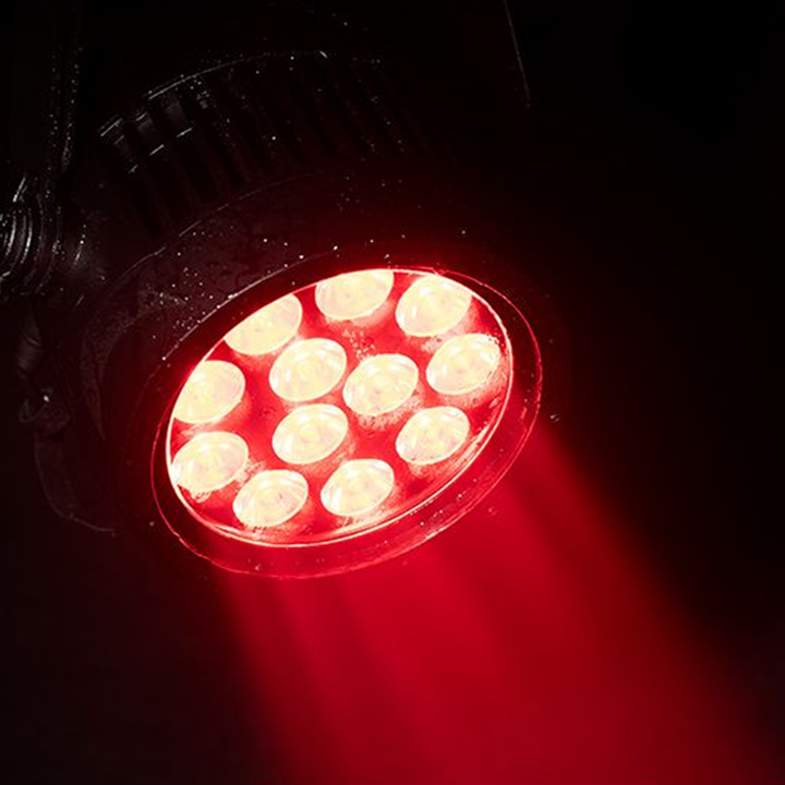 ADJ IP65 LED Par Fixture w/ 12x20W RGBL
