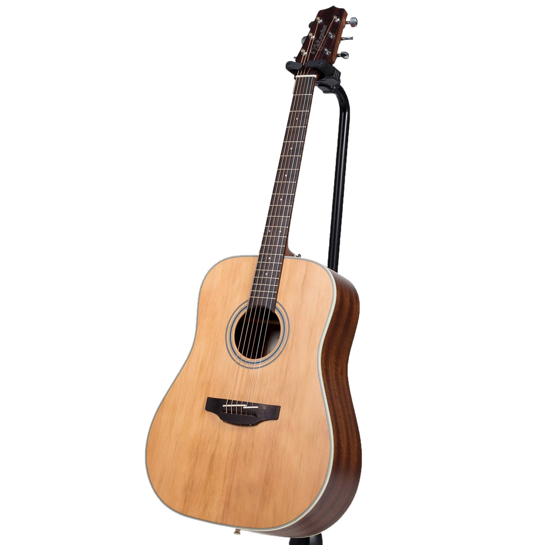 Takamine GD20-NS - Dreadnought Acoustic Guitar (Natural Satin)