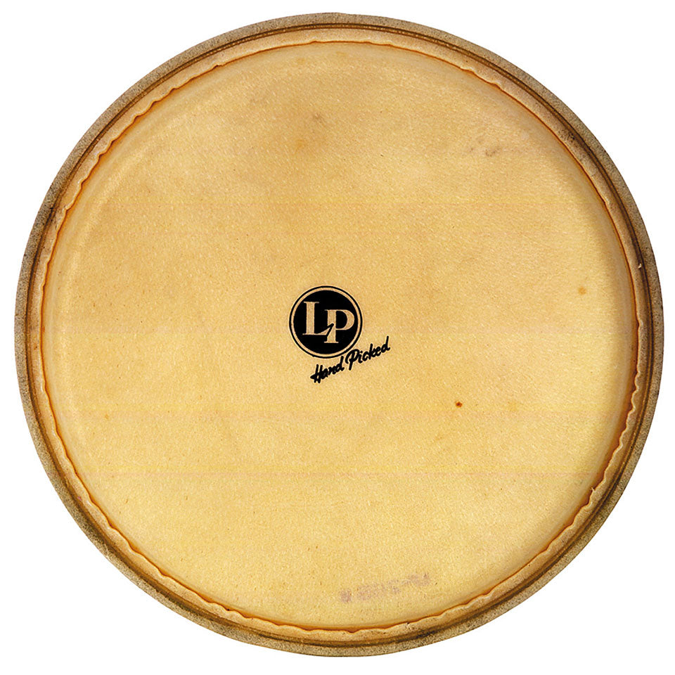 LP LP274A - 11” Replacement Head Quinto Z Series