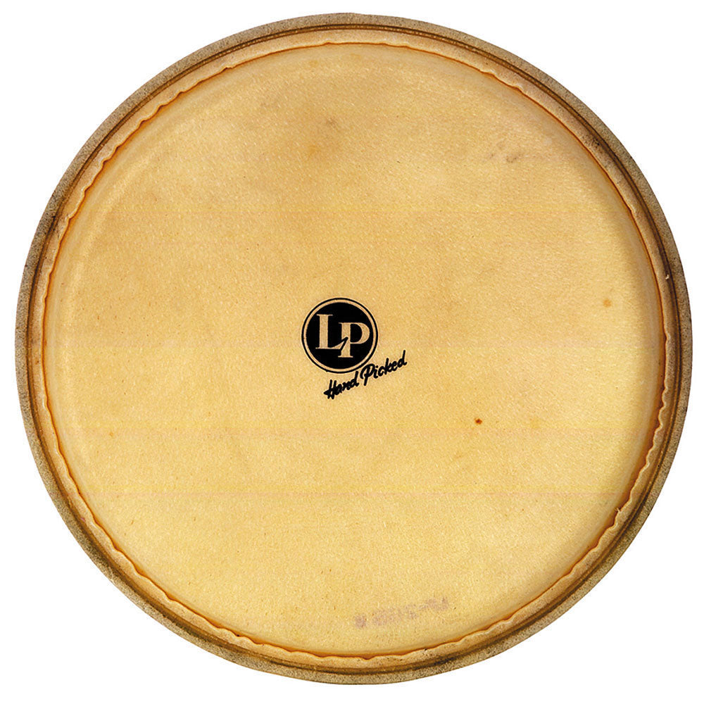LP LP960 - 14 In Galaxy Djembe Repl. Head