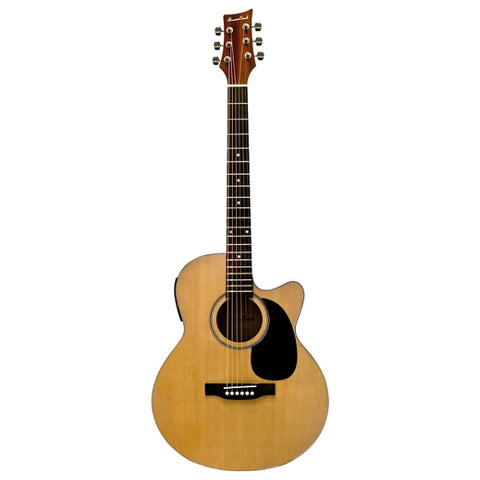 Beaver Creek BCTF101CE - Folk Acoustic Guitar (w/ Pickup)