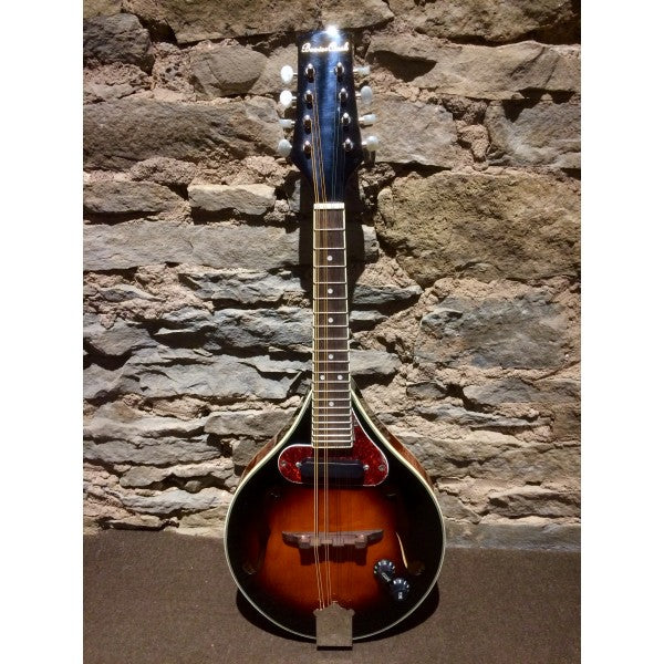 Beaver Creek BCMM201E - Mandolin Electric