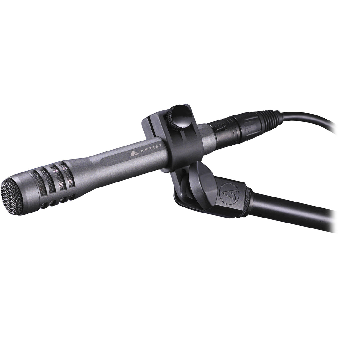 Audio-Technica AE5100 Large-Diaphragm End-Address Cardioid Condenser Instrument Microphone