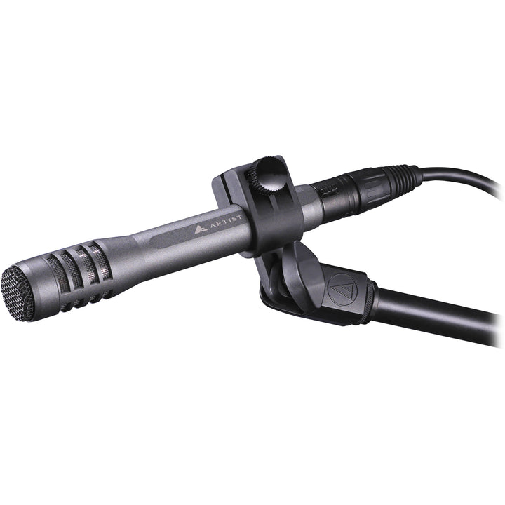 Audio-Technica AE5100 Large-Diaphragm End-Address Cardioid Condenser Instrument Microphone